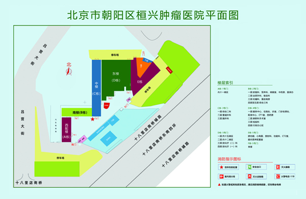 弄骚穴视频北京市朝阳区桓兴肿瘤医院平面图